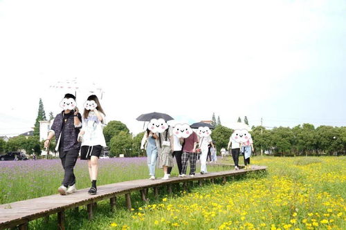 趣也青年 這個(gè)周末有點(diǎn)甜——戶外燒烤、游戲暢玩與花海打卡的動漫之旅